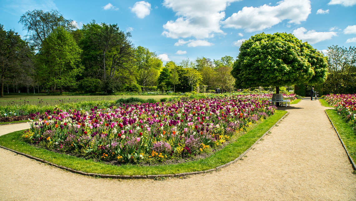 Tulpenpracht Im Botanischen Garten Gutersloh Stadtmagazin Fur